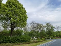 -贡湖湾湿地公园