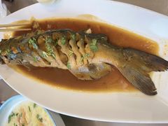 -老德州四合院·德州菜(天衢路店)