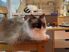 -灯塔咖啡馆BOOK·Coffee Shop