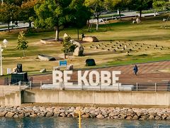 -神户美利坚公园东方大酒店