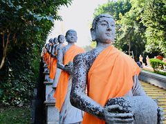 -西双版纳勐泐文化旅游区