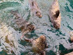 -华夏文旅海洋公园