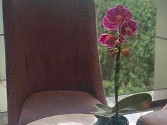 -深圳观澜格兰云天国际酒店