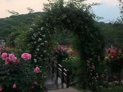-龙寺生态园