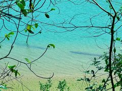 -羚羊峡古栈道森林公园