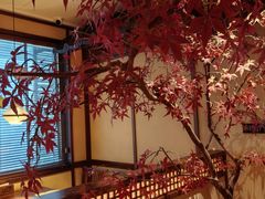 -揽季锅物会.福建黄鱼.海鲜姿造(五四路店)