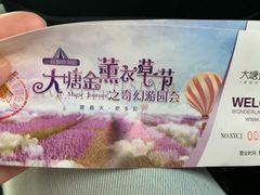 -大塘金香草谷