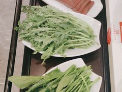 -蝎王府羊蝎子(北大地店)