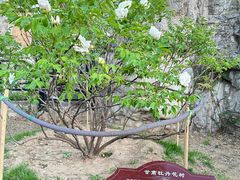 -太阳宫公园