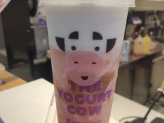 -一只酸奶牛(八一路店)