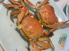 -绿岛港轩海鲜烤肉涮锅自助餐厅