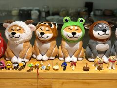 -柴务处·柴犬主题狗咖