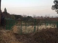 -安徽禾泉小镇