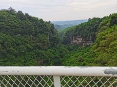 -川西竹海景区