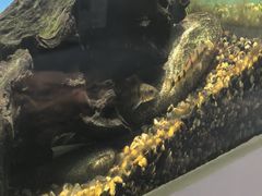 -上海昆虫博物馆