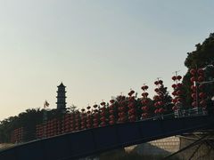 -江心屿景区