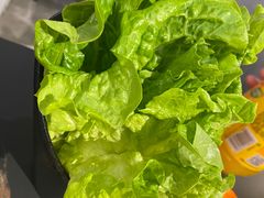 生菜-恰点烤肉(魔力月光店)