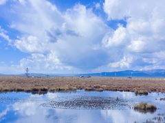 -花湖生态旅游区