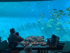 -海棠湾洲际-涛·海底餐厅·美人鱼·自助餐·海底隧道