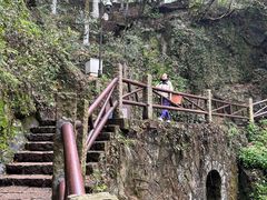 -莫干山风景区