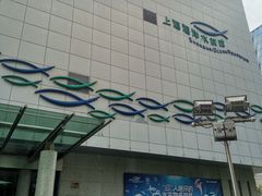 -上海海洋水族馆