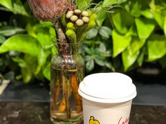 -Seesaw Coffee(环贸iapm店)