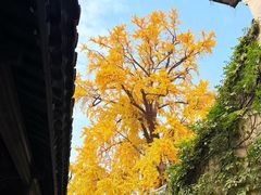 -二泉园老菜馆·百年无锡菜