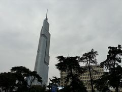 -紫峰大厦