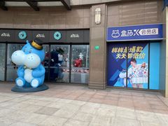 门面-盒马X会员店(上海森兰商都店)