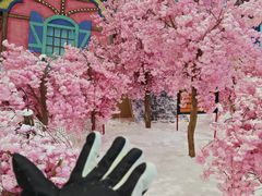 -广州热雪奇迹