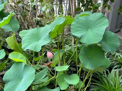 -无名小酒馆·湖北私房菜(昙华林店)