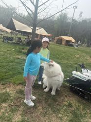 -268童话露营农场·烧烤·团建