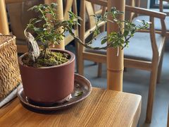 -竹里馆 ·茶食(奥体店)