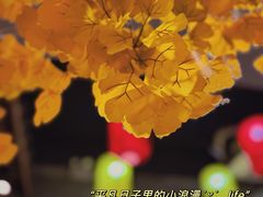 -古道村落(温汤店)