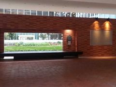 -香港大学