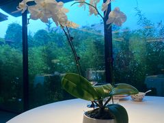 -蘇锦宴·淮扬菜烤鸭·小院(三元桥霄云路店)