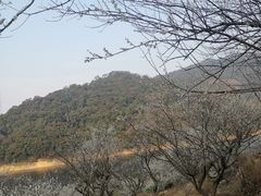 -广州市流溪河国家森林公园