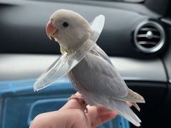 -雨林宠物医院 非犬猫异宠专科