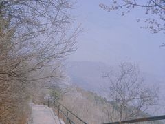 -香山公园
