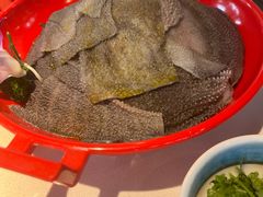 -二荆条·蜀鲜汇城市森林火锅