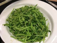 豆苗-川里谈·川味小馆(北京路店)