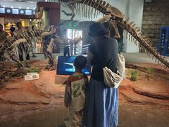 -自贡恐龙博物馆