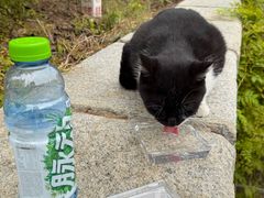 -山东大学(威海校区)