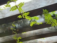 -杭州城北体育公园