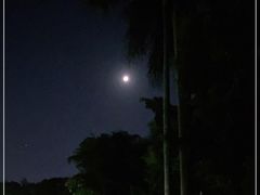 -金砂公园