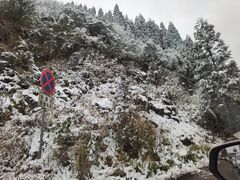 -武陵山森林公园