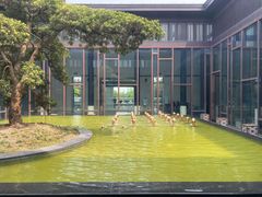 -上海崇明金茂凯悦酒店