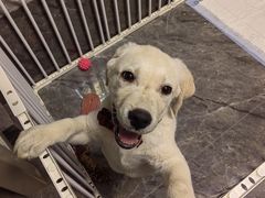 -宠颐生·恒爱宠物医院(静海店)