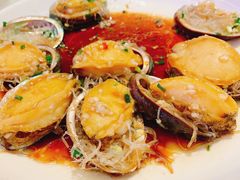 -上海圣淘沙万怡酒店