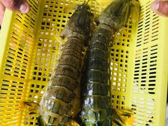 -拉威海鲜市场